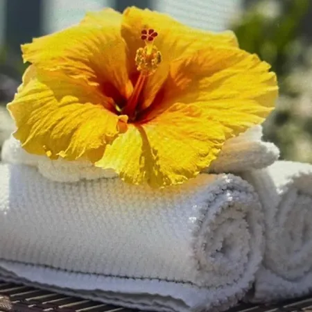 Apartman Duplex 2 Le Havre